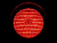 Evakuasi Ular di Lapangan